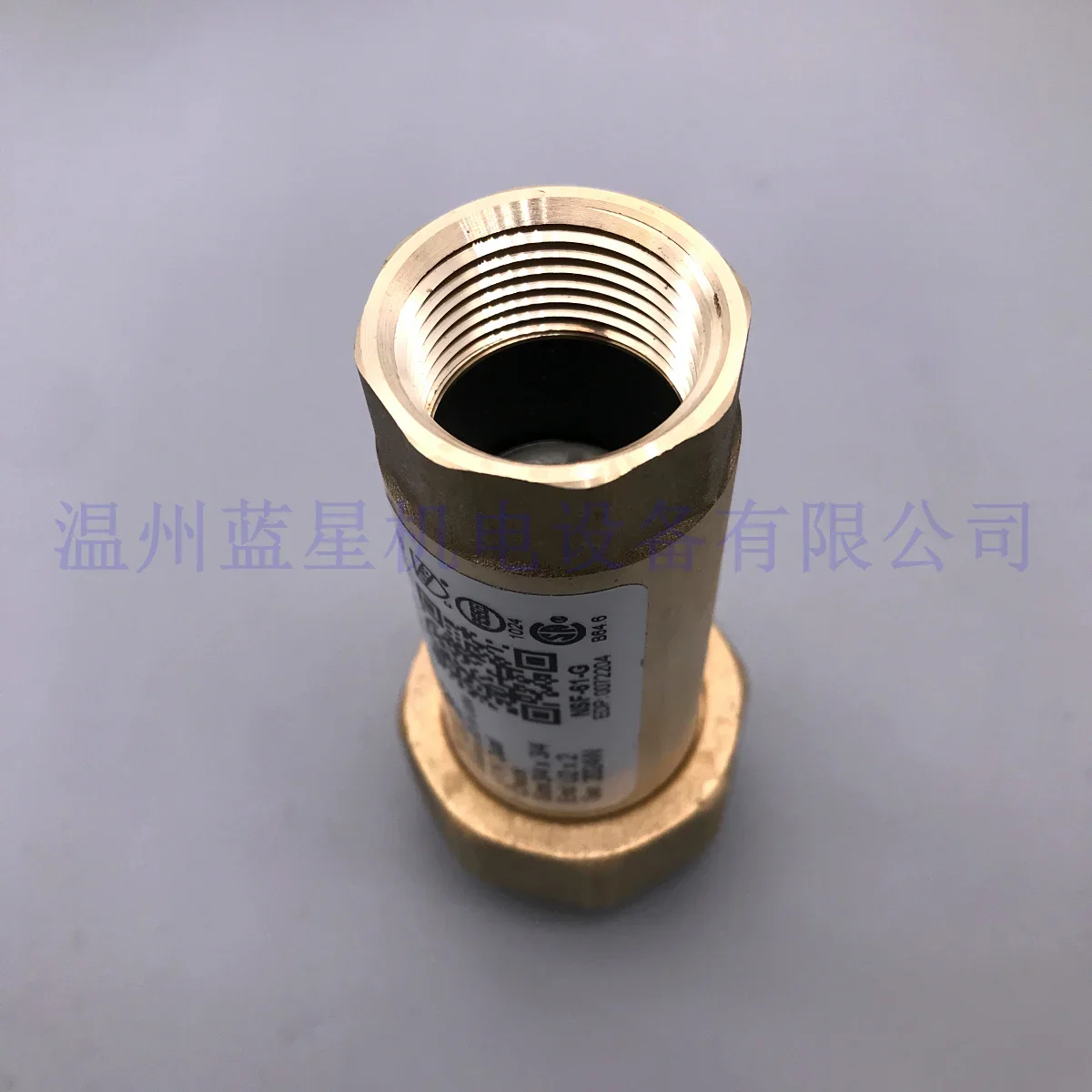 2026 LF7RU2-2 Watts WATTS Válv - Woodworking Usa avaliação e preço